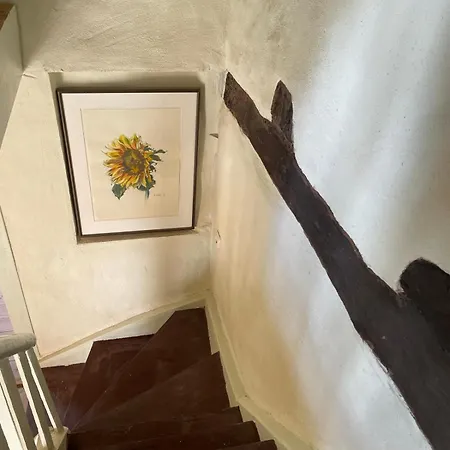 Zeitreise Ins Fachwerk - Hessisches *